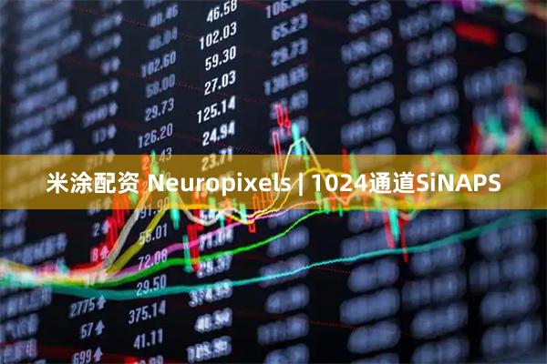 米涂配资 Neuropixels | 1024通道SiNAPS