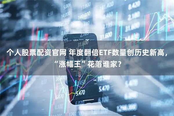 个人股票配资官网 年度翻倍ETF数量创历史新高，“涨幅王”花落谁家？